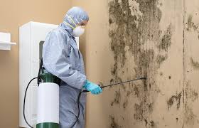 Best Asbestos and Lead Testing During Mold Inspection  in Pegram, TN